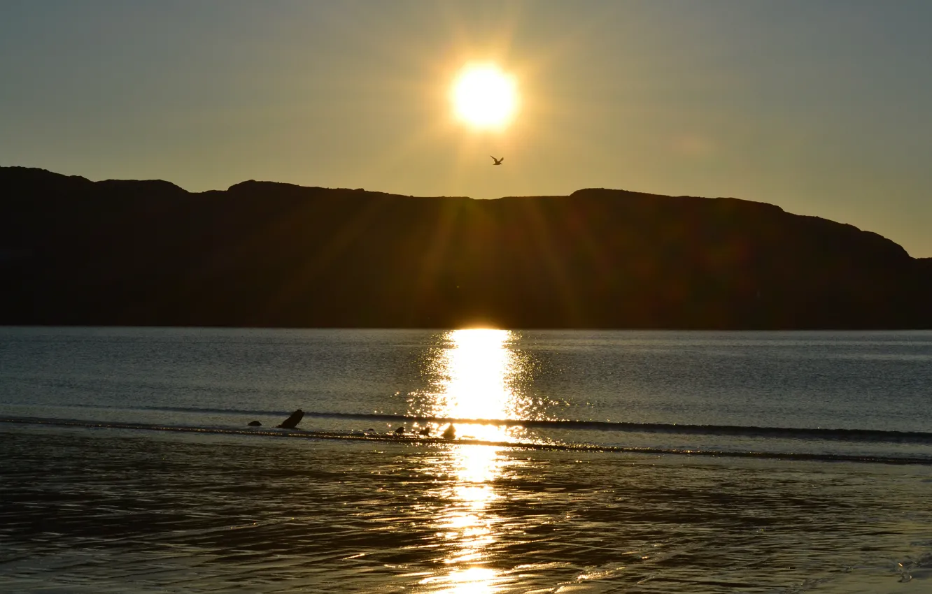 Photo wallpaper summer, sunset, Teriberka