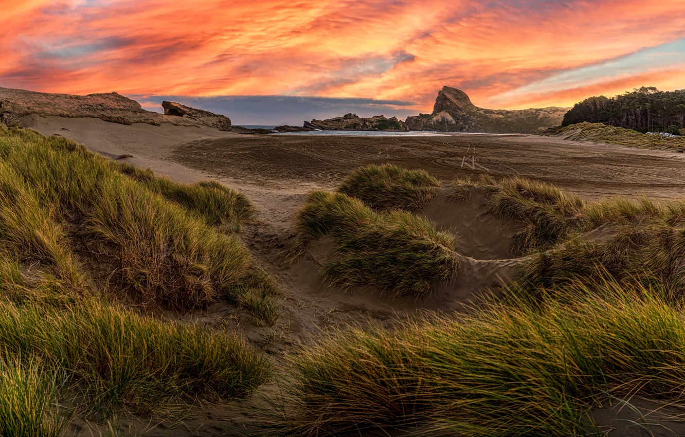 Photo wallpaper sand, grass, rocks, shore, pond
