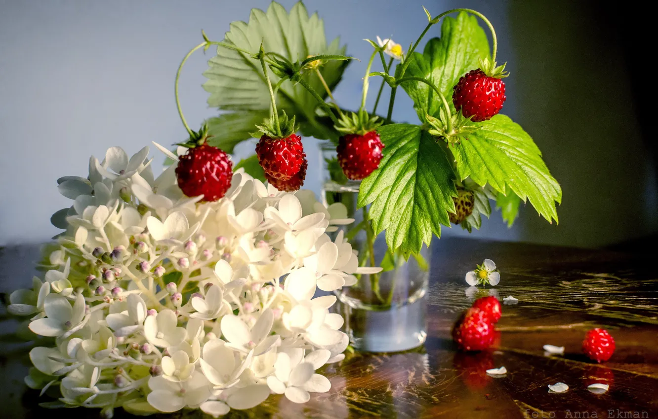 Photo wallpaper flowers, berries, background