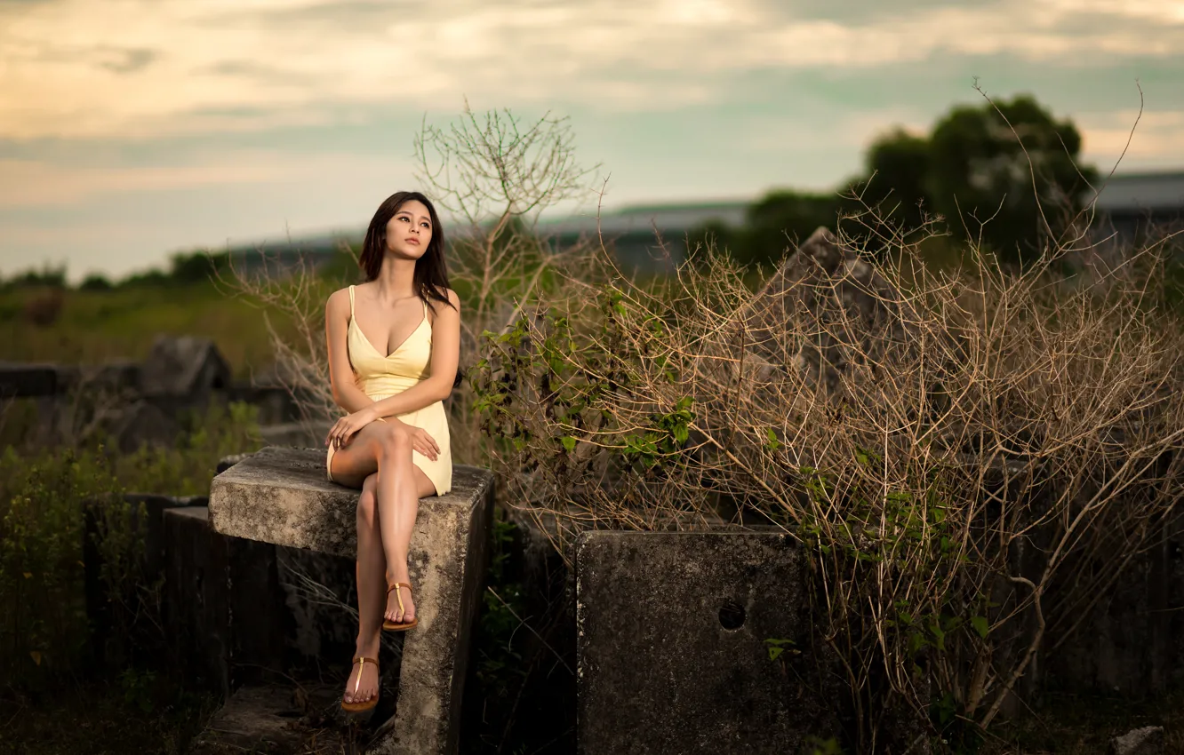 Photo wallpaper girl, legs, Asian, sitting, bokeh, dress