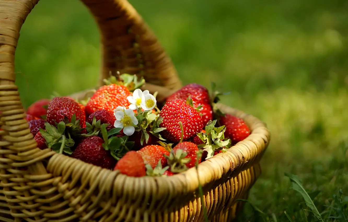 Photo wallpaper grass, berries, Strawberry, flowers, basket