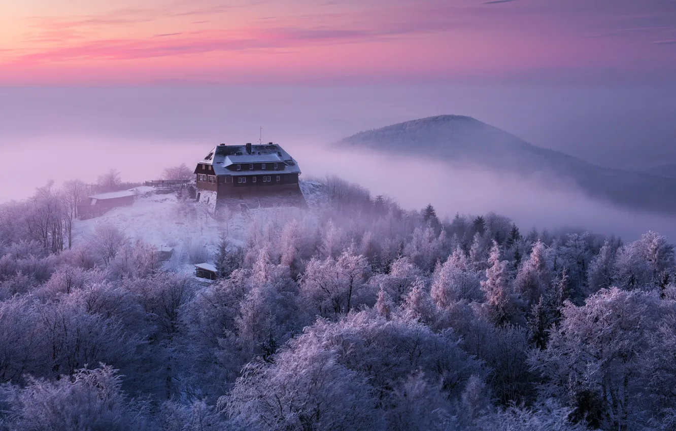 Photo wallpaper winter, frost, snow, sunset, view, Martin Rak