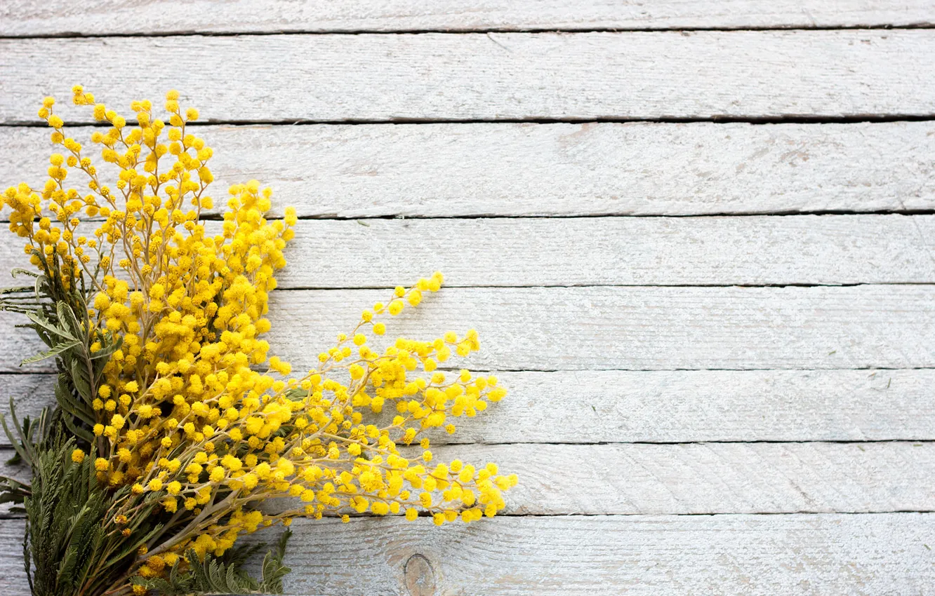 Photo wallpaper flowers, bouquet, spring, Mimosa