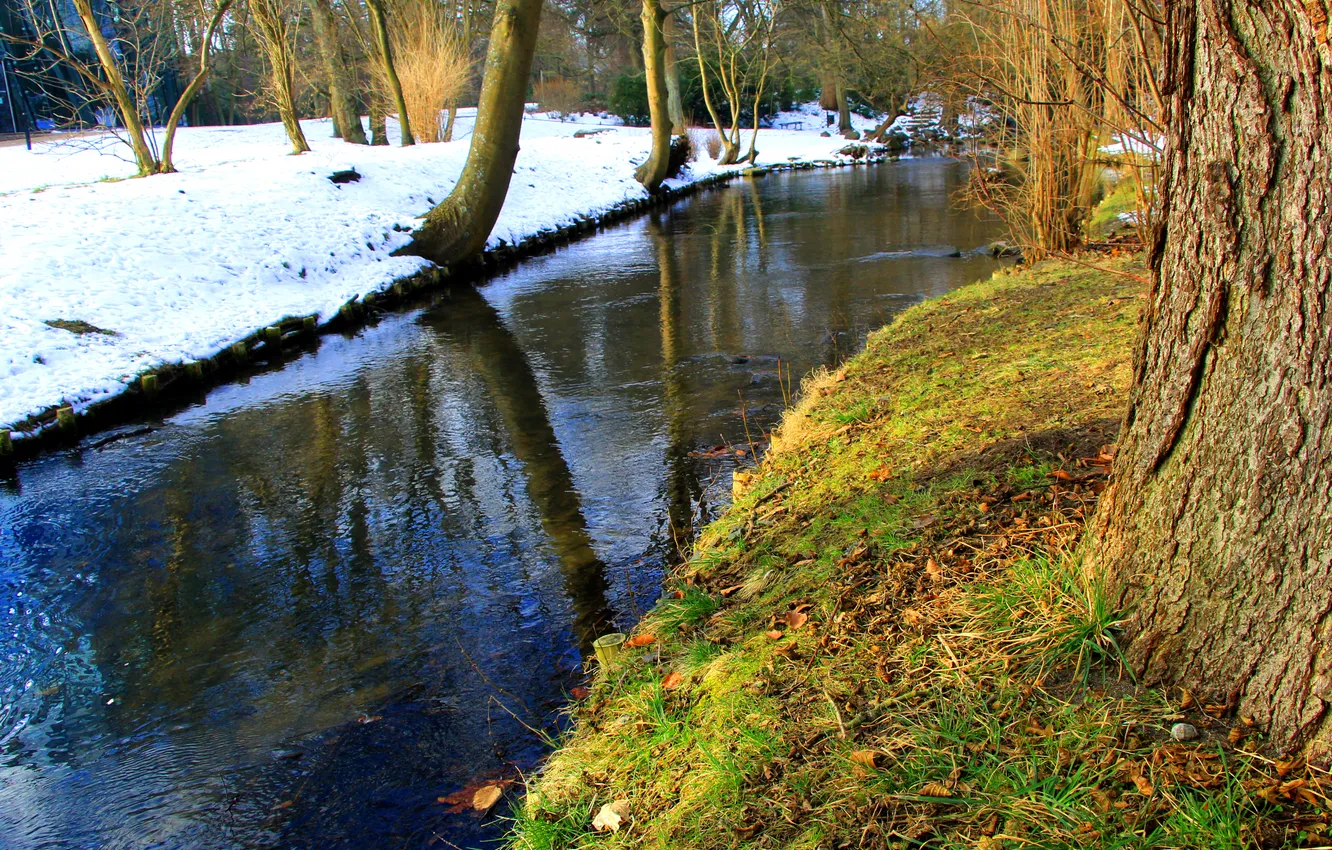 Photo wallpaper trees, park, Water Stream