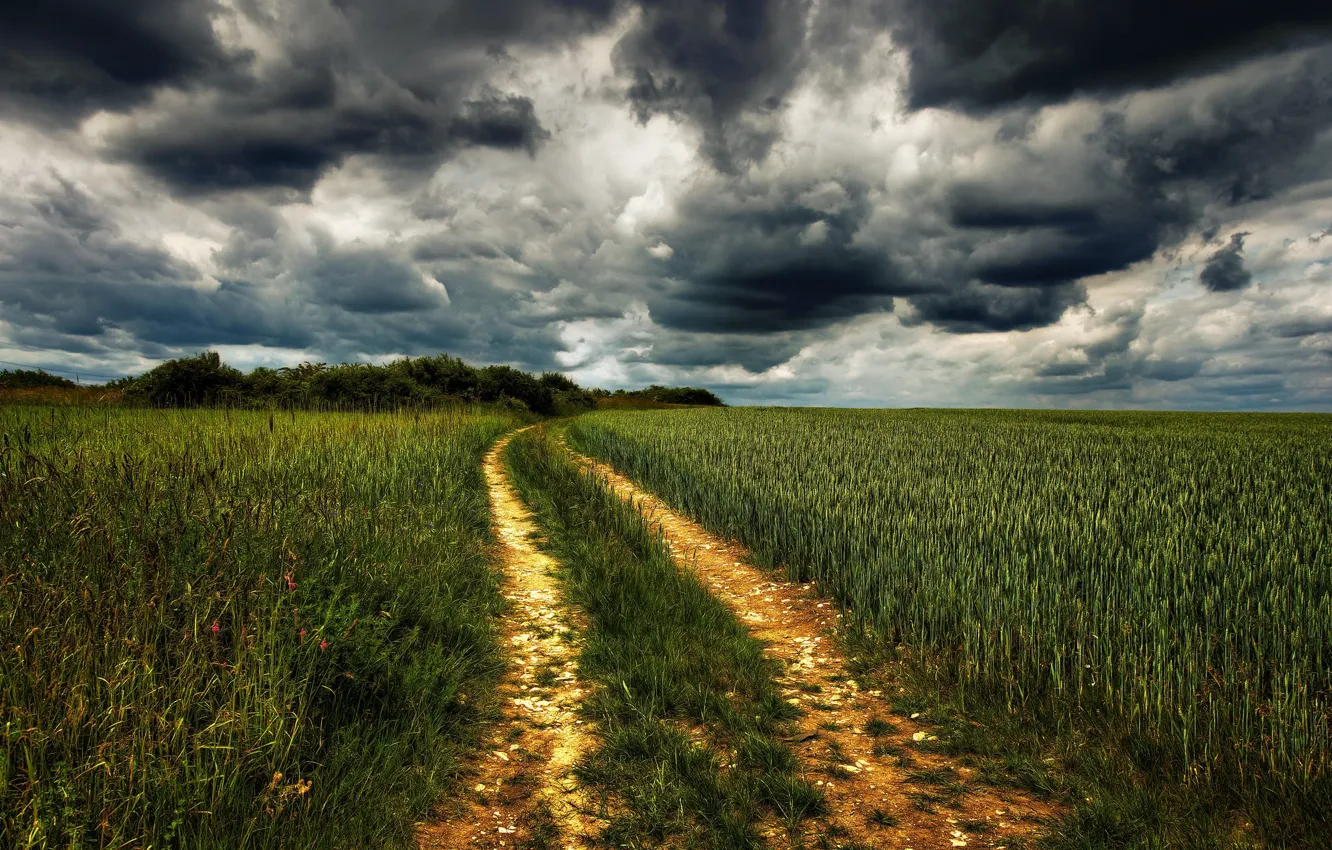 Photo wallpaper road, field, summer, the sky, grass, clouds, clouds, the way
