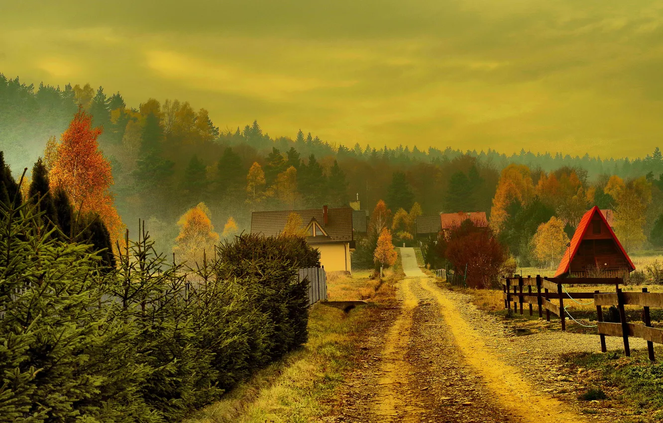 Photo wallpaper road, autumn, trees, fog, home, Poland