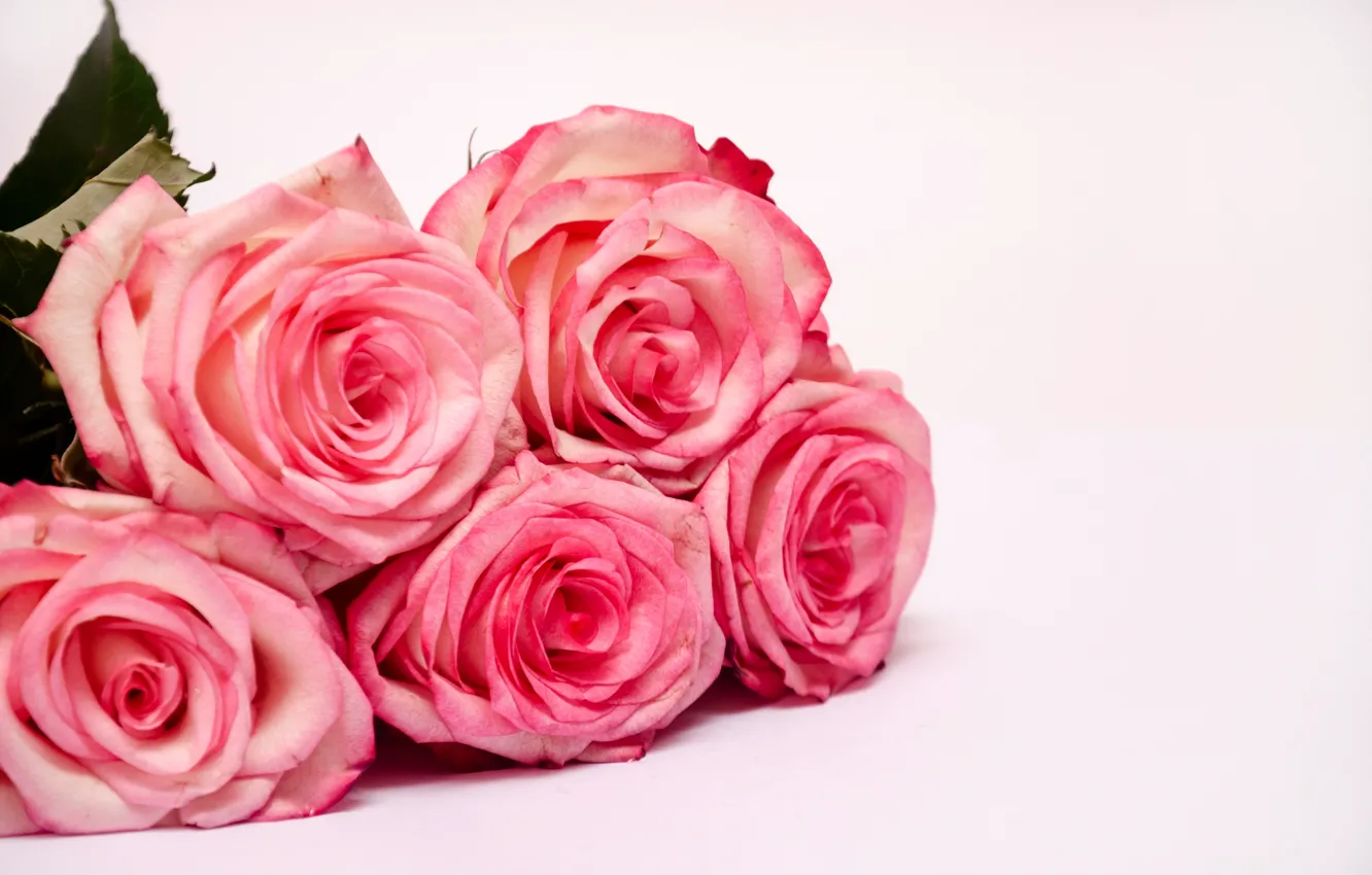 Photo wallpaper flowers, roses, bouquet, pink, Yarovoy Aleksandr