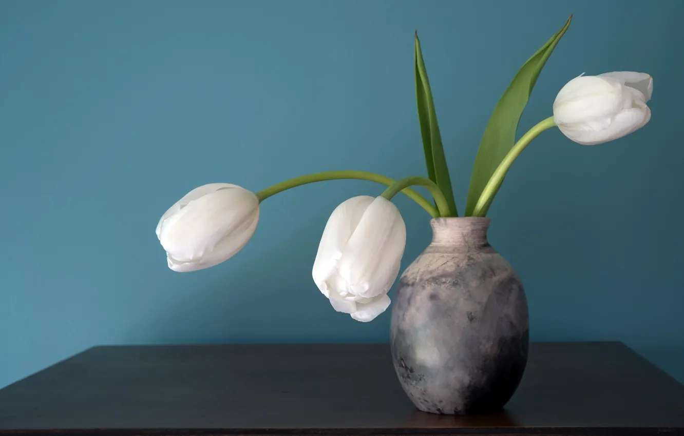 Photo wallpaper flowers, background, tulips