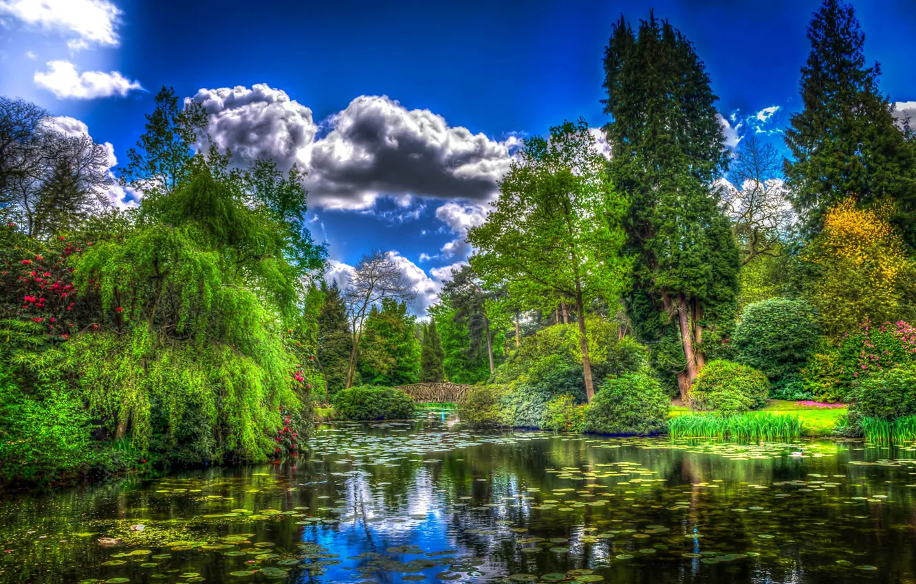 Photo wallpaper grass, clouds, trees, pond, Park, England, treatment, garden