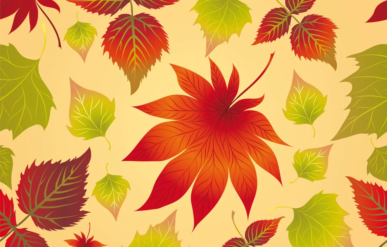 Photo wallpaper leaves, background, autumn, leaves, autumn, maple