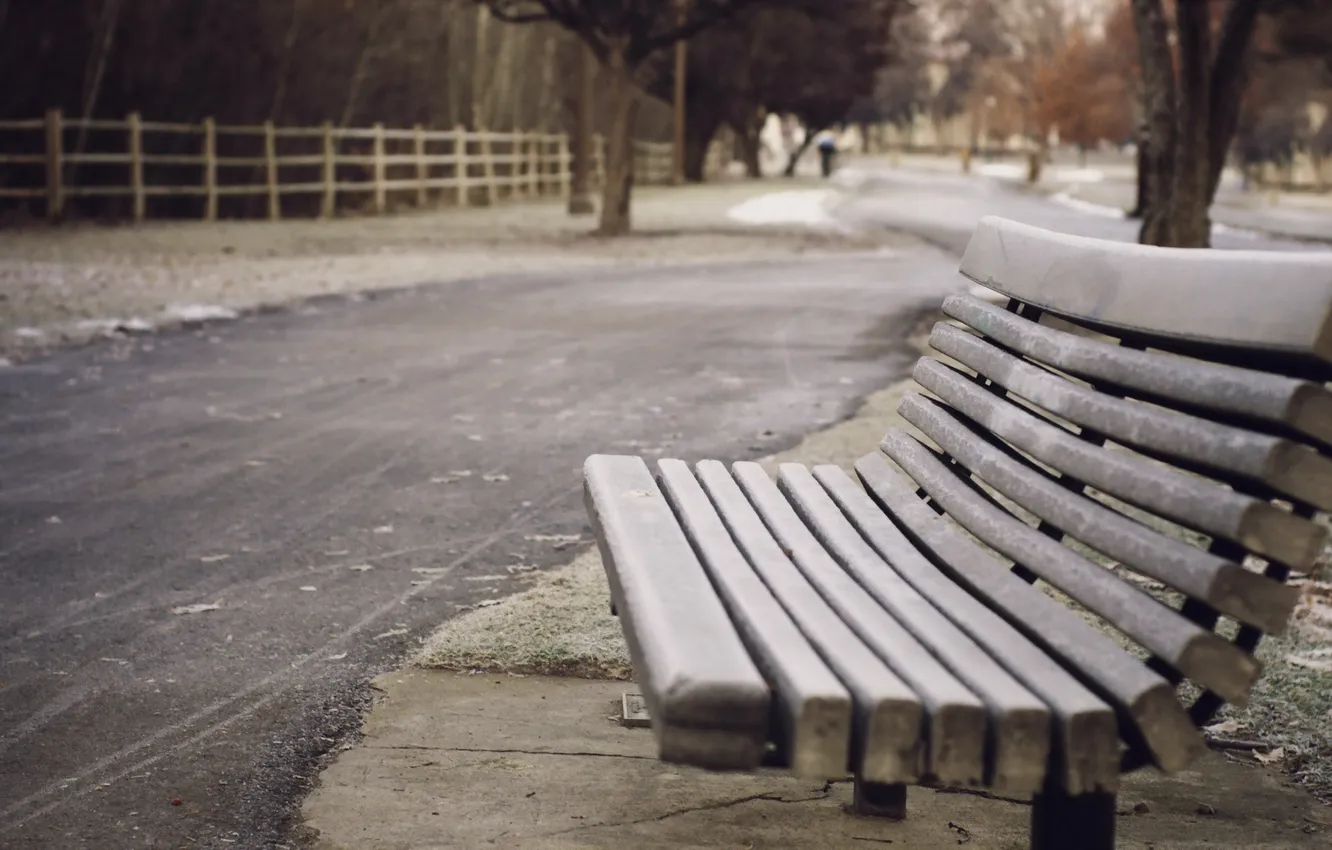 Photo wallpaper winter, walk, bench