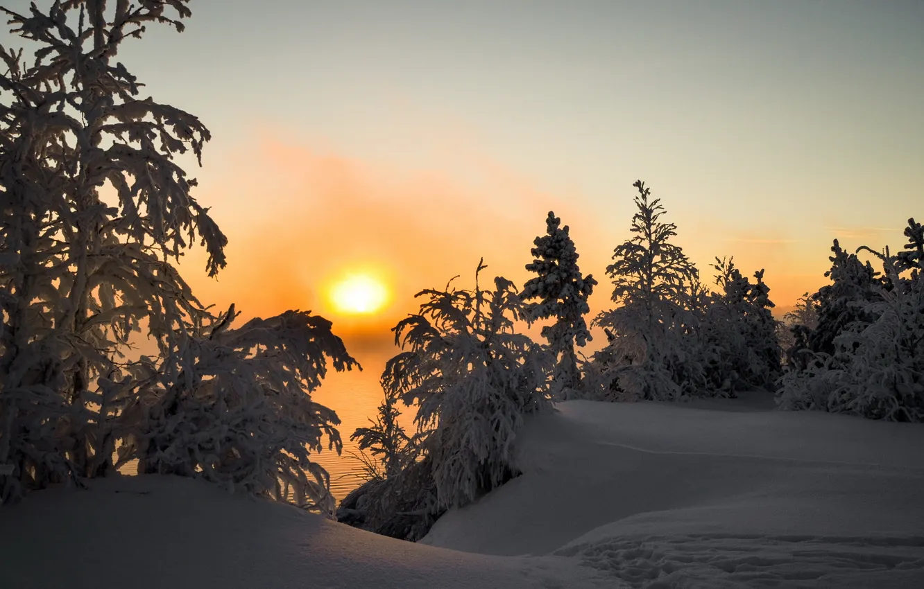 Photo wallpaper winter, snow, landscape, sunset