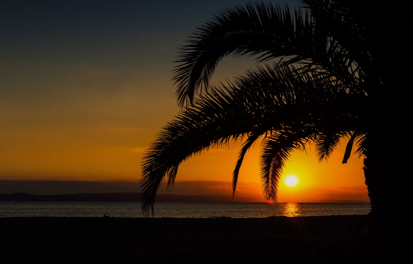 Photo wallpaper sea, summer, sunset, palm trees, beauty