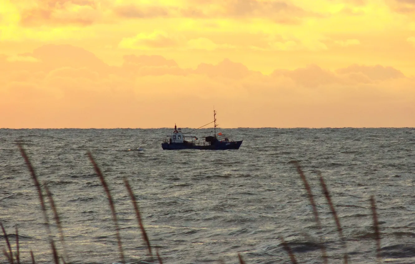 Photo wallpaper sea, wave, sunset, fishing boat