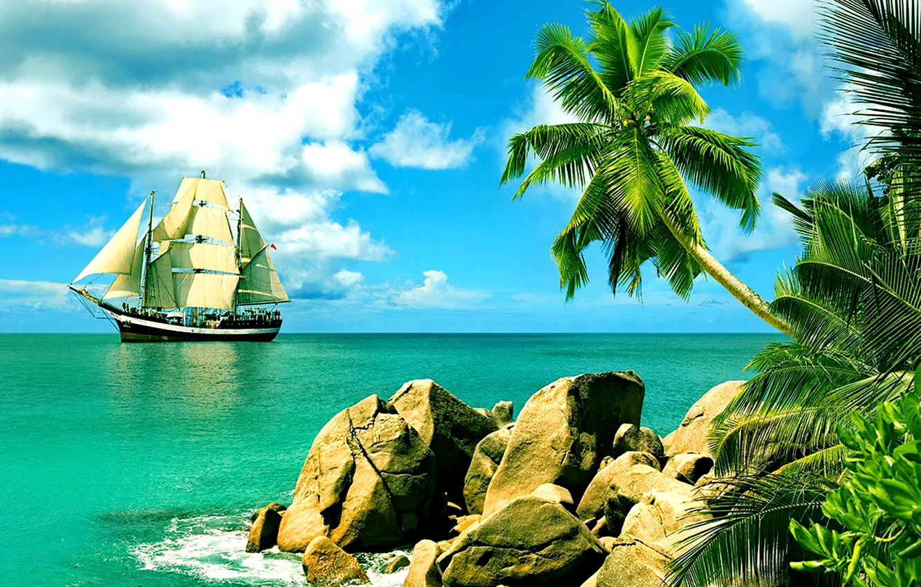 Photo wallpaper palm trees, the ocean, shore, sailboat