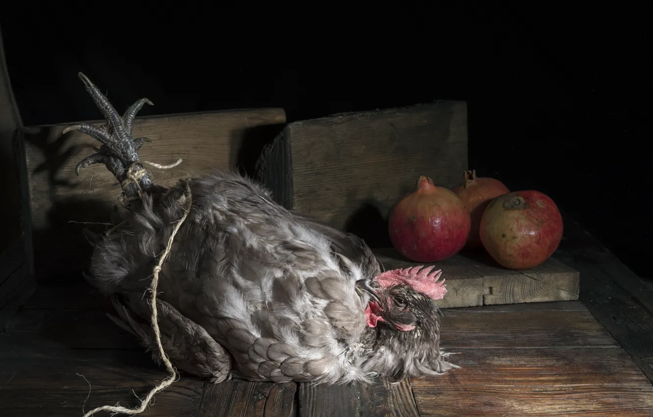 Photo wallpaper bird, food, chicken