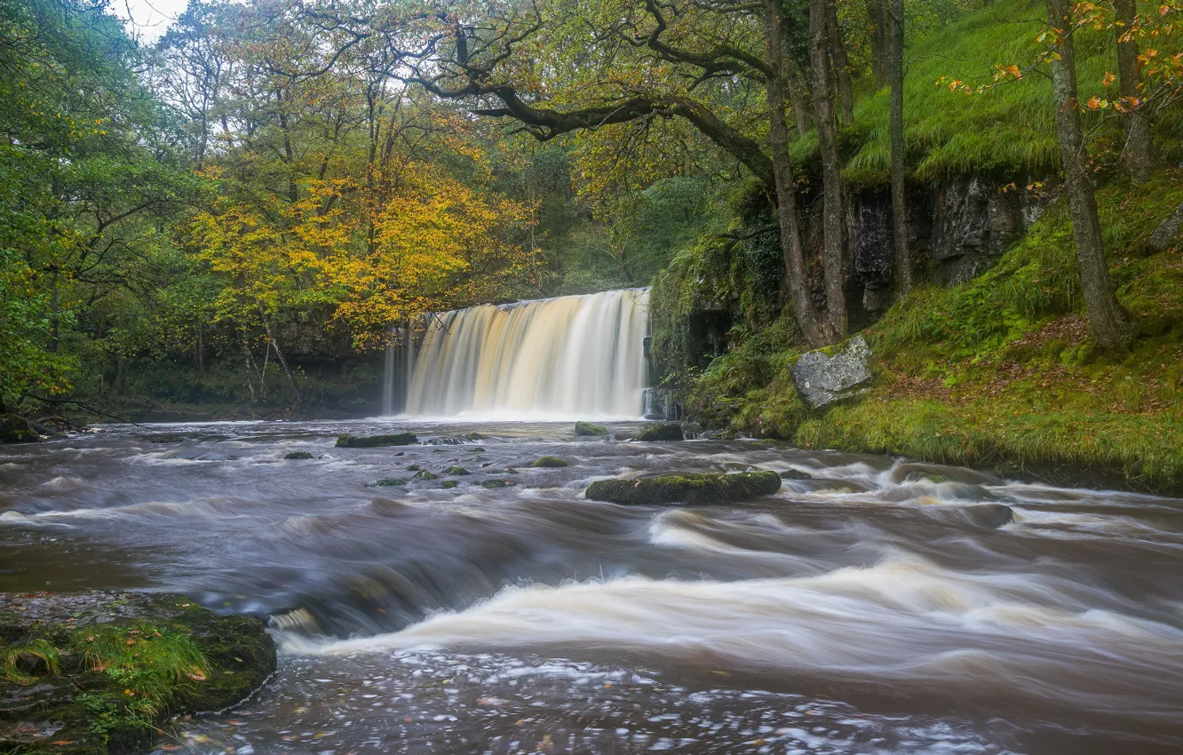 Photo wallpaper forest, trees, river, England, waterfall, England, Wales, Wales