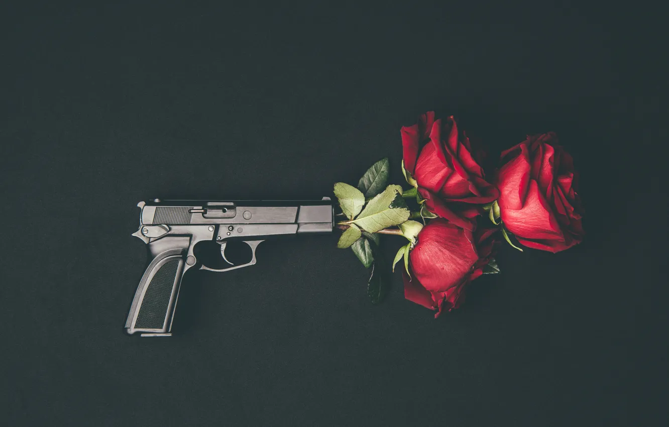 Photo wallpaper flowers, gun, roses, buds