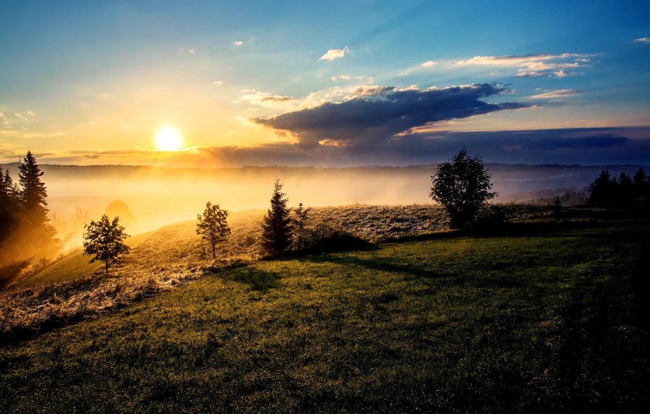 Photo wallpaper the sun, clouds, trees, fog, morning, slope