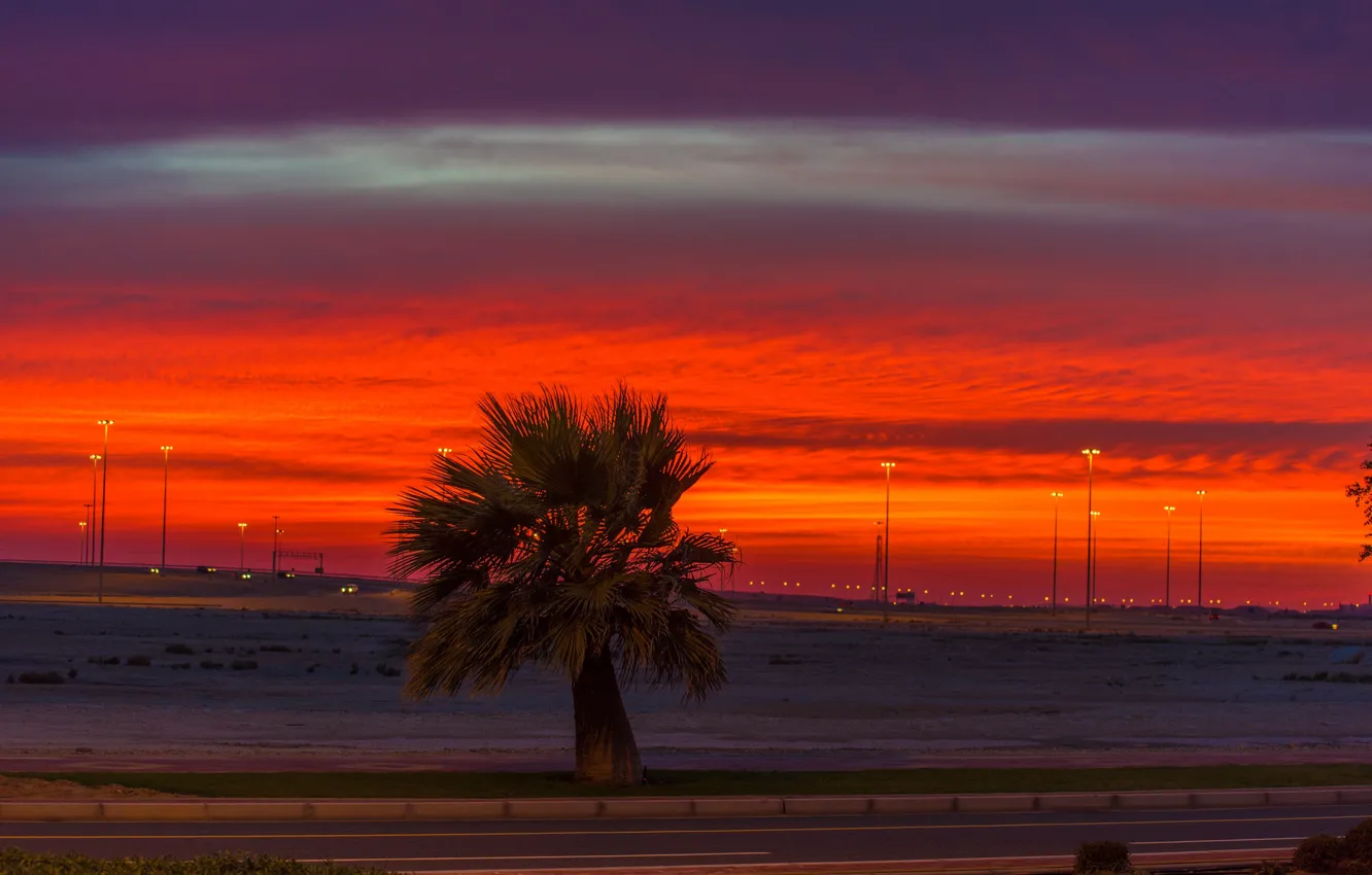 Photo wallpaper road, trees, sunset, beautiful