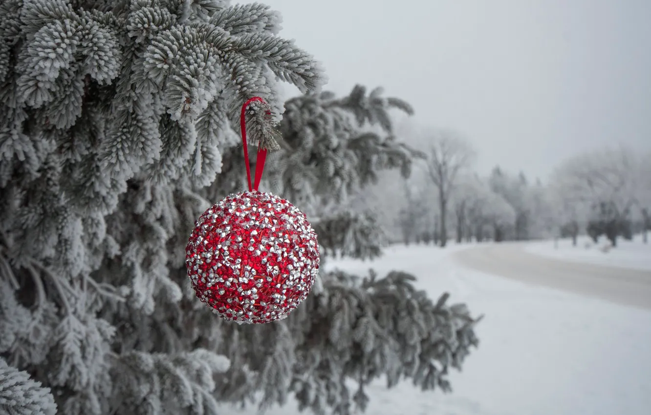 Photo wallpaper winter, snow, balls, tree, new year