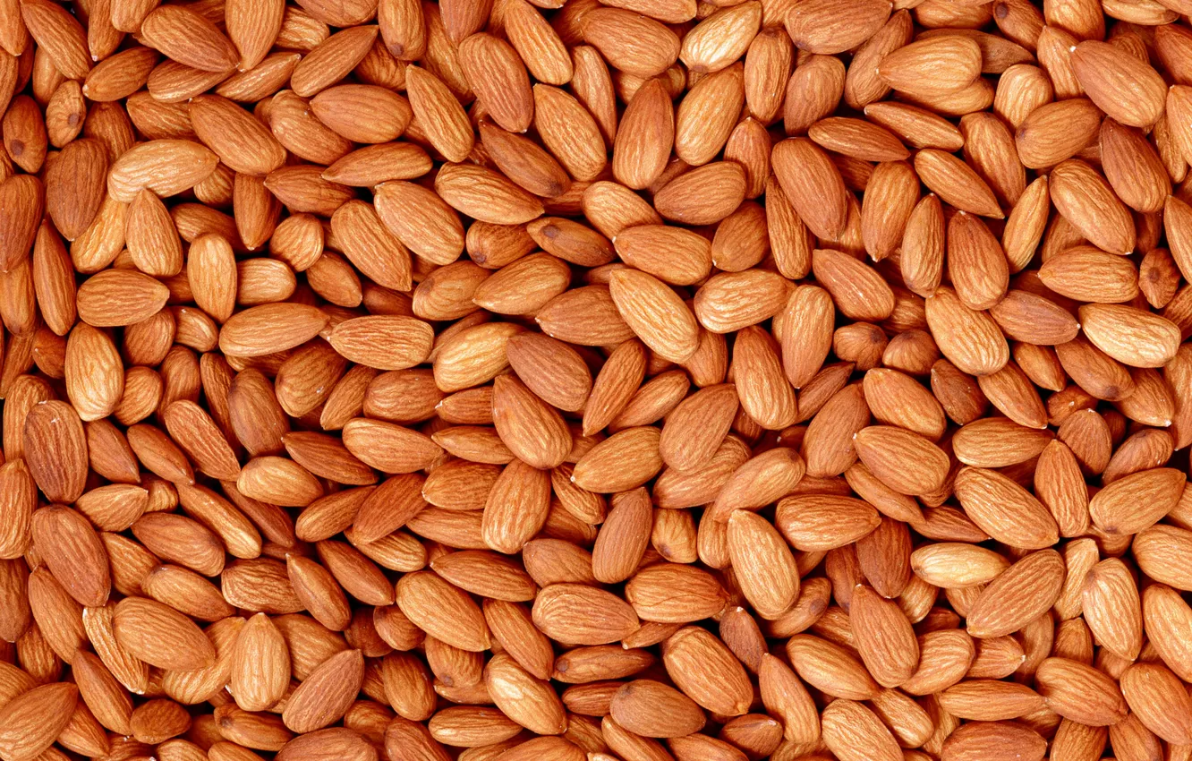 Photo wallpaper texture, walnut, almonds