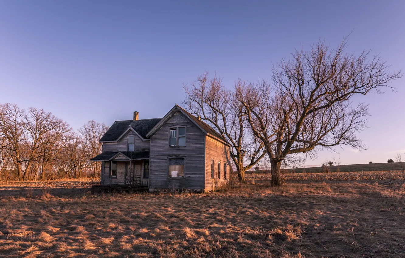 Photo wallpaper field, light, trees, home, morning
