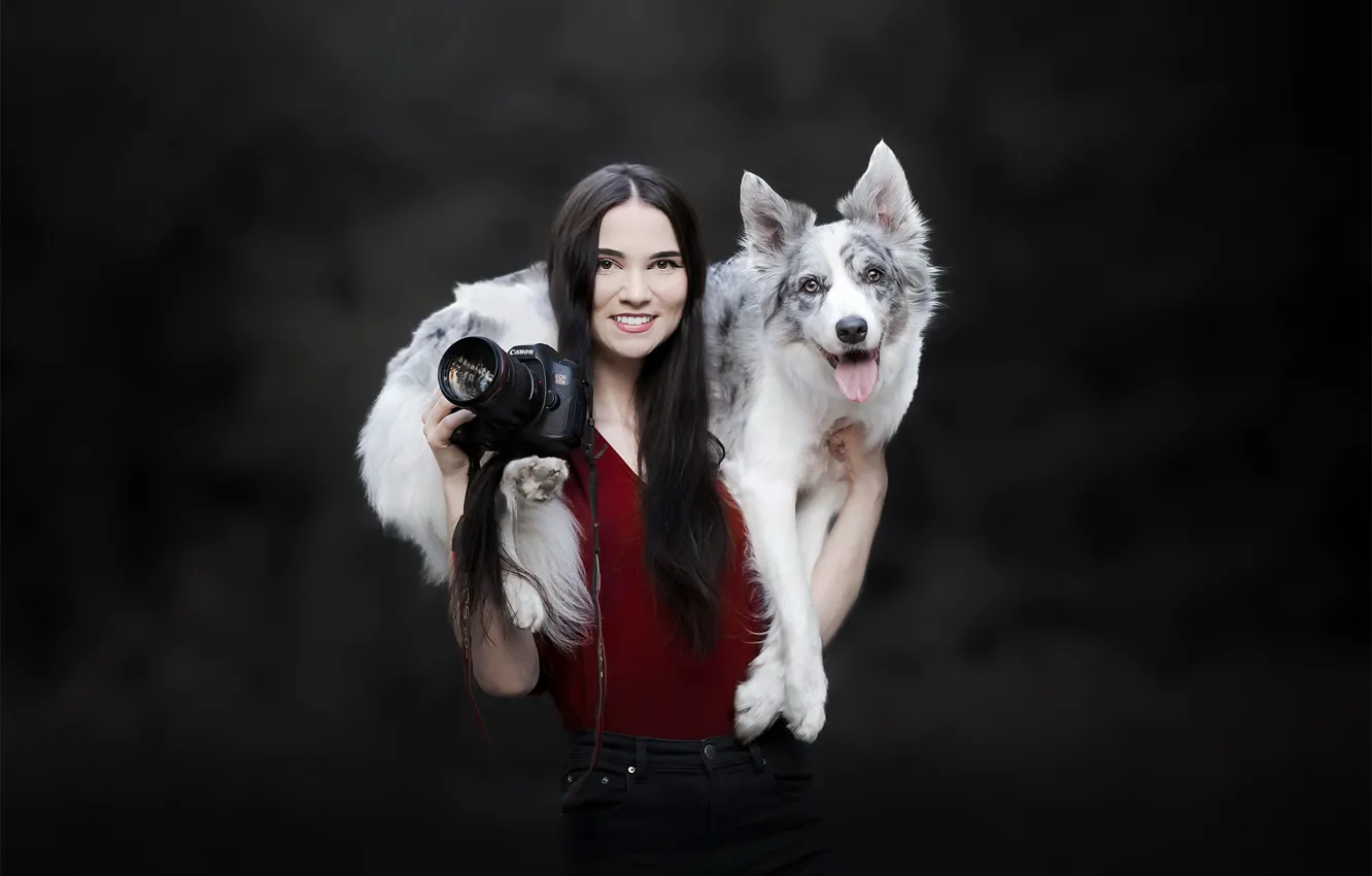 Photo wallpaper girl, dog, the camera