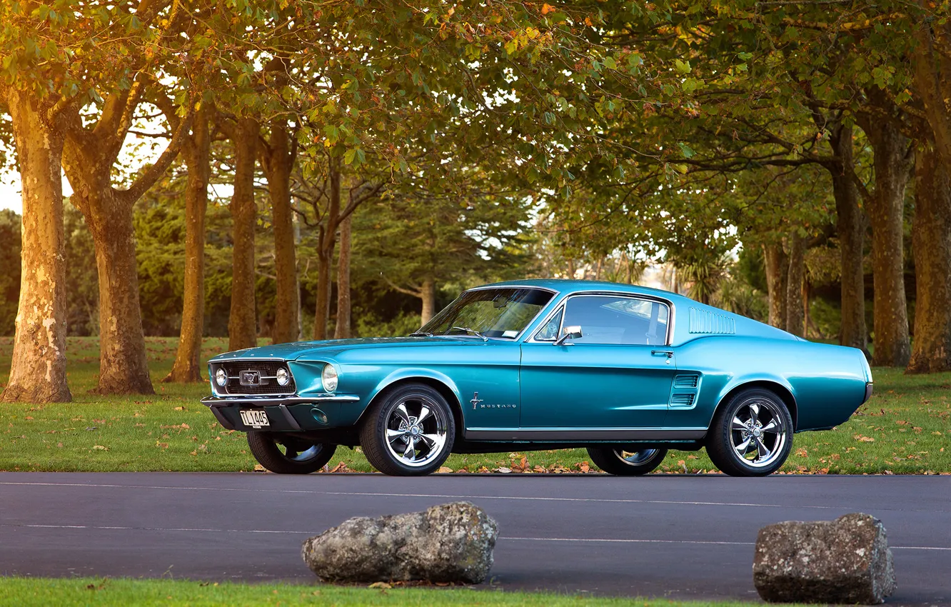 Photo wallpaper trees, stone, Mustang, Ford, 1967, Fastback, side