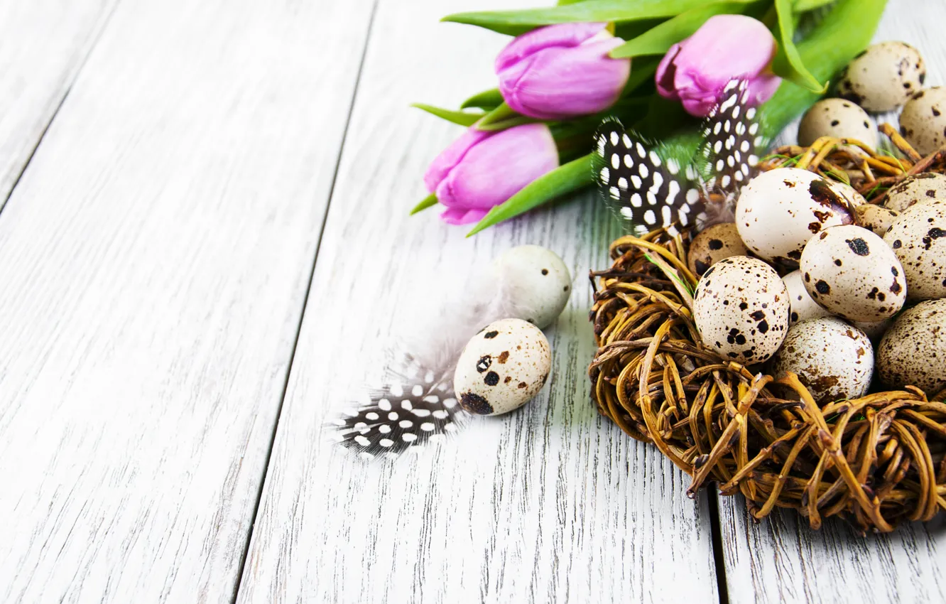 Photo wallpaper flowers, eggs, spring, colorful, Easter, tulips, wood, pink