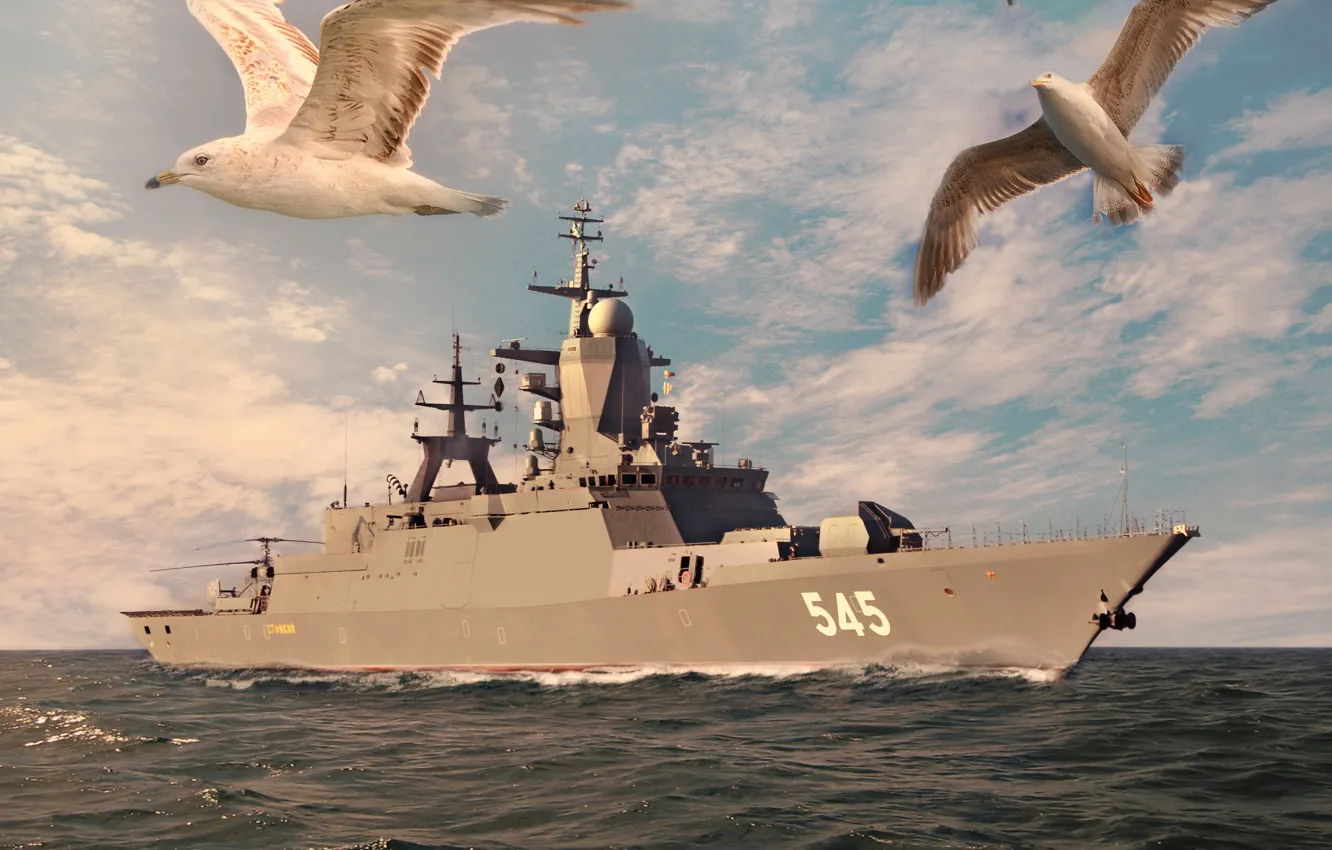 Photo wallpaper seagulls, Resistant, Corvette, guard, ship, sea