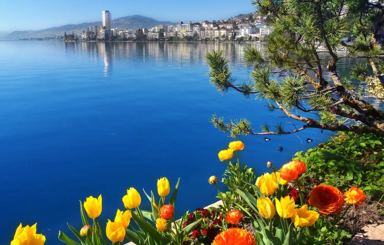 Photo wallpaper flowers, lake, Switzerland, Switzerland, Lake Geneva, Montreux, Lake Geneva, Montreux