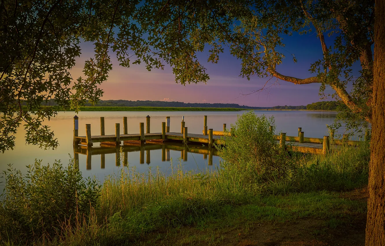 Photo wallpaper forest, the sky, grass, clouds, trees, landscape, sunset, nature