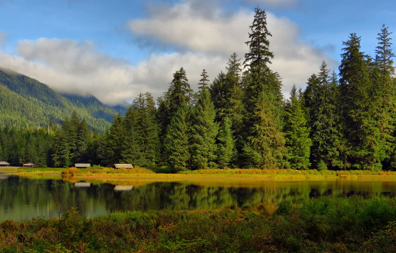 Photo wallpaper forest, clouds, trees, lake, surface, reflection, hills, home