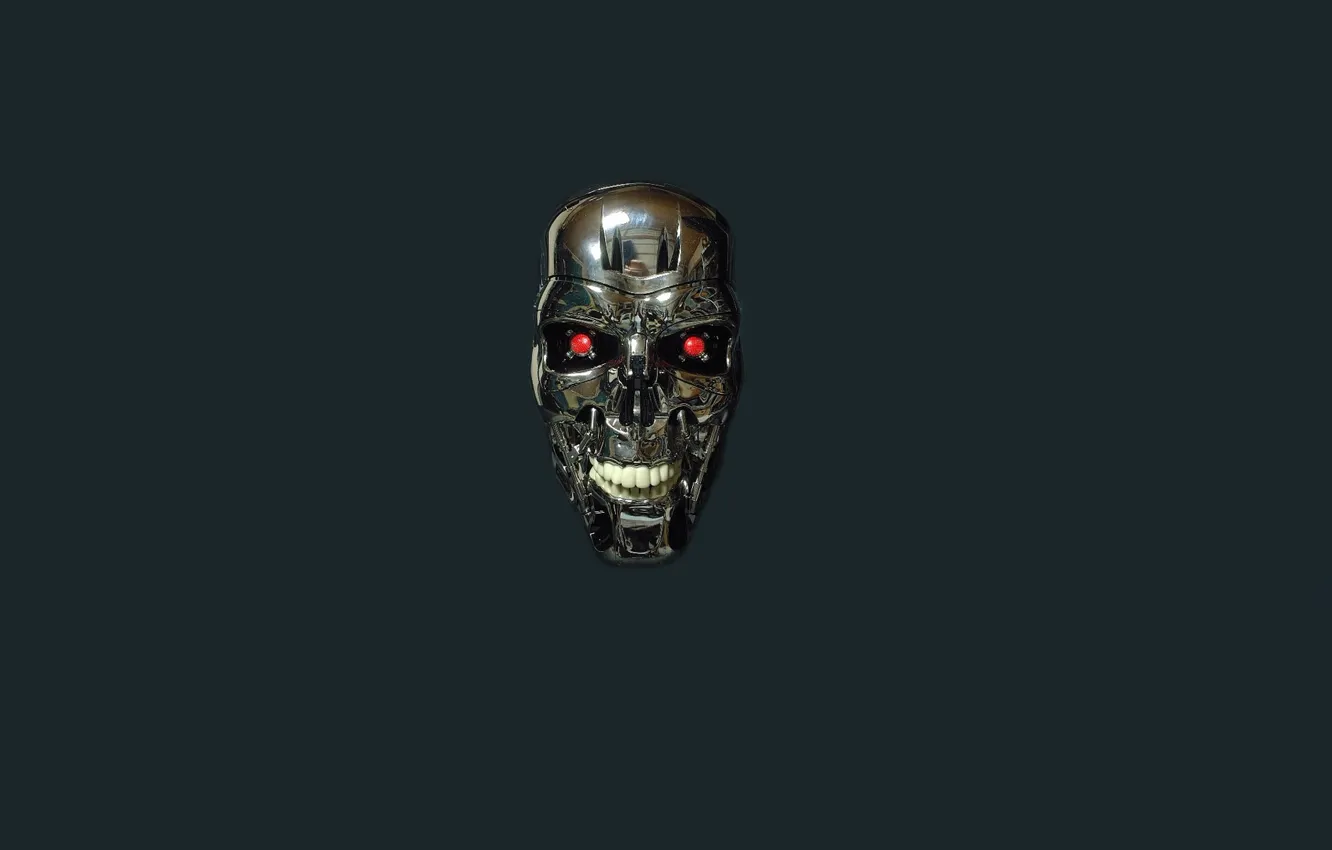 Photo wallpaper skull, robot, minimalism, head, terminator, Terminator, T-800