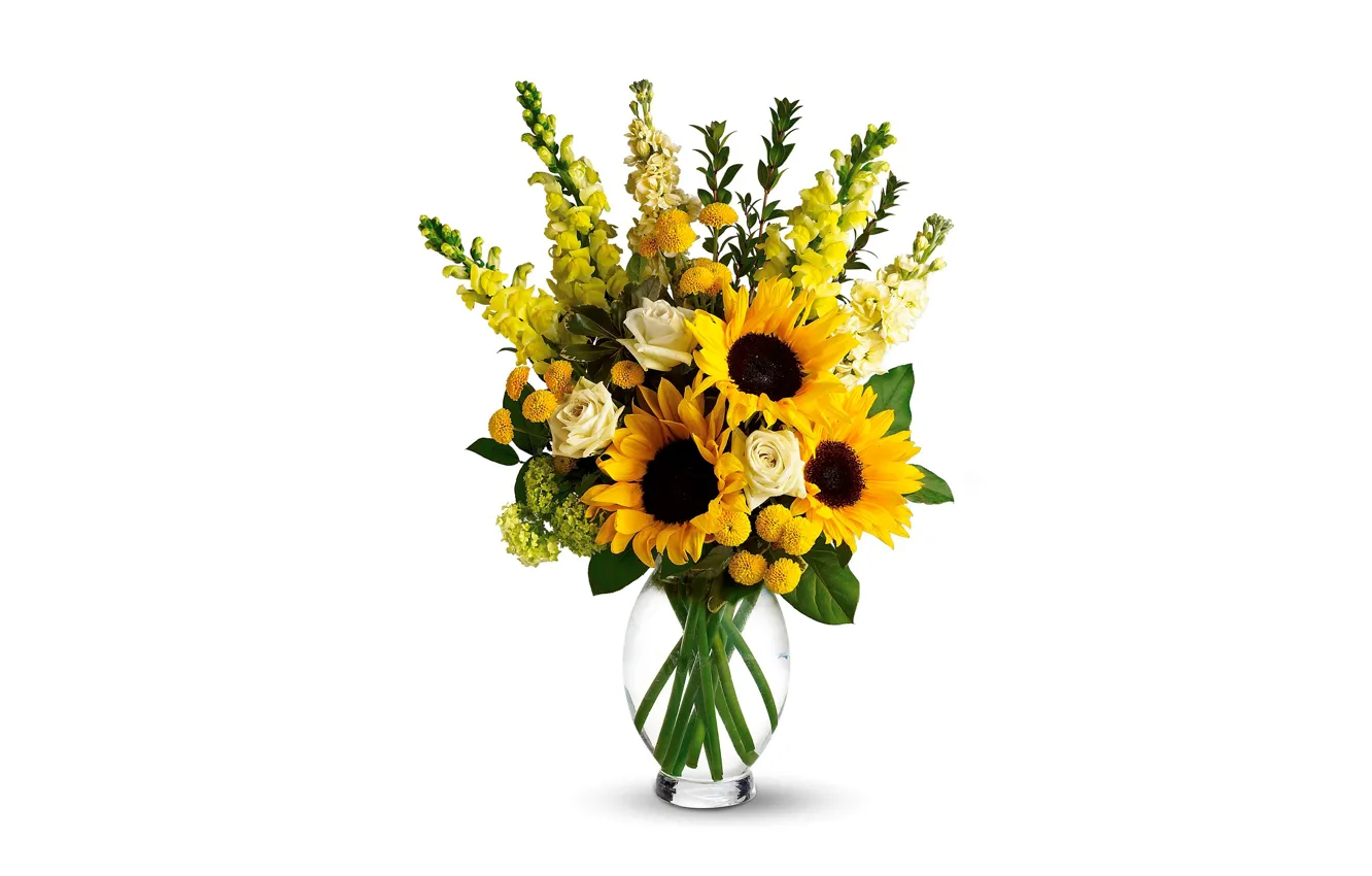 Photo wallpaper sunflowers, flowers, roses, bouquet, yellow, white background, vase, snapdragons