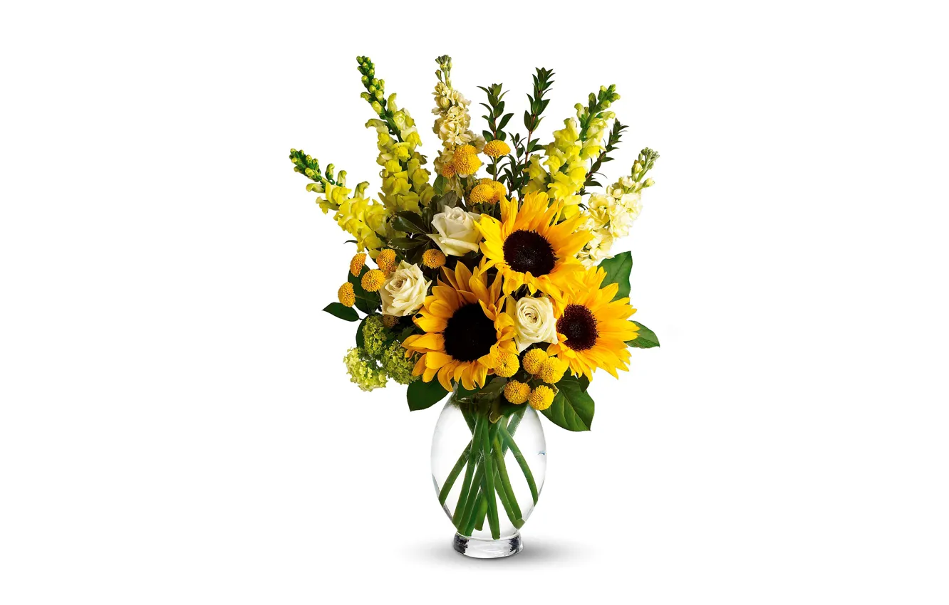 Photo wallpaper sunflowers, flowers, yellow, roses, bouquet, white background, vase, snapdragons