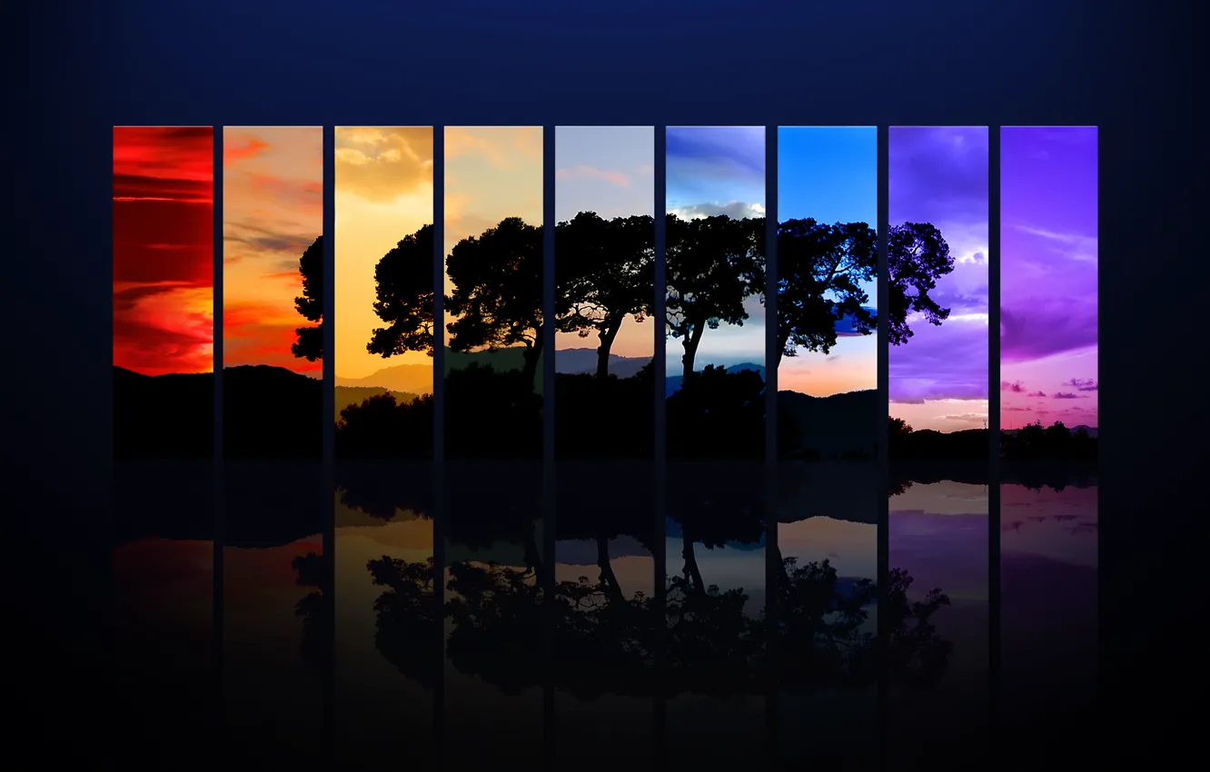 Photo wallpaper strips, tree, color