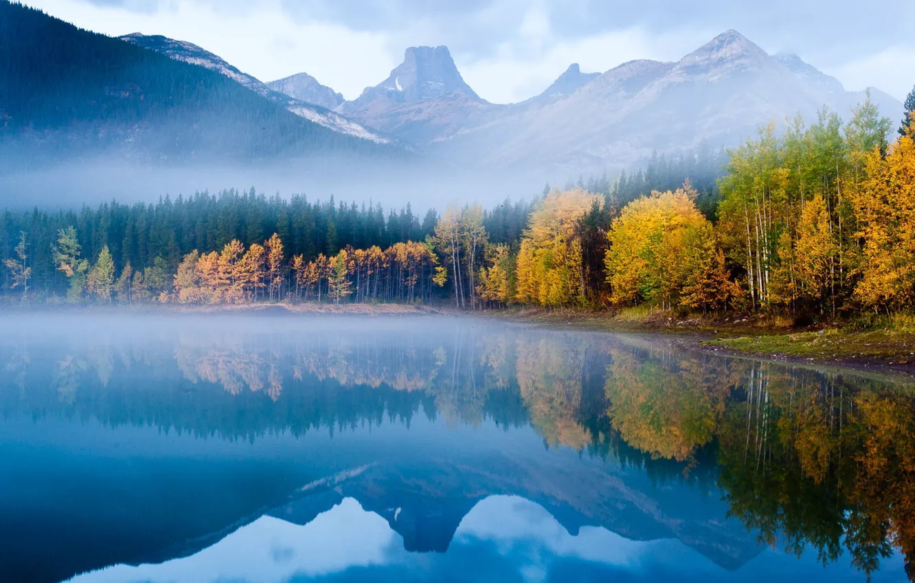 Photo wallpaper forest, nature, mountains, lake