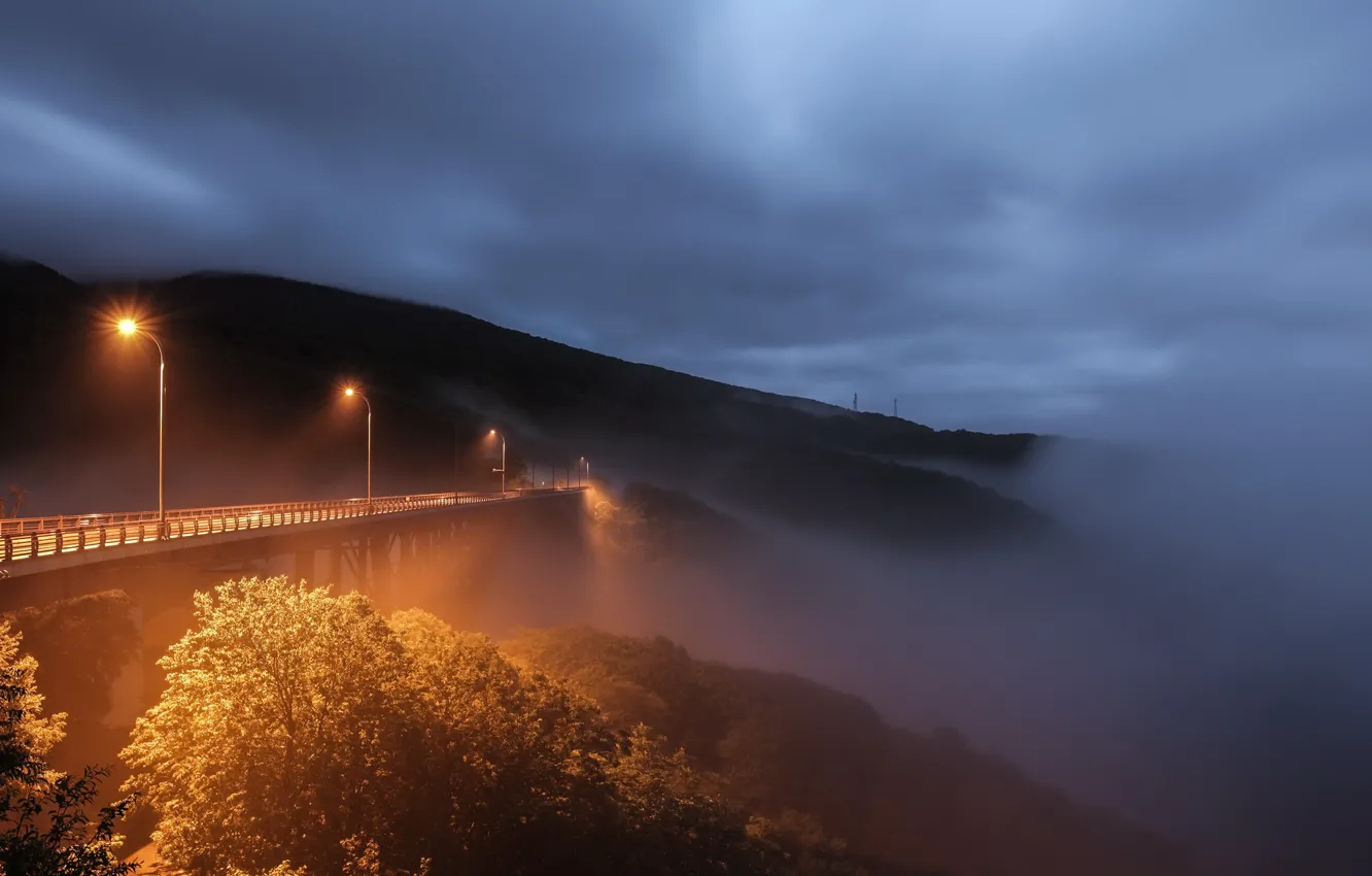 Photo wallpaper night, bridge, fog