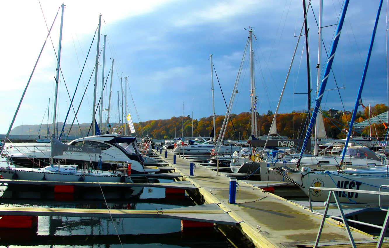 Photo wallpaper sea, boats, harbor, shieep
