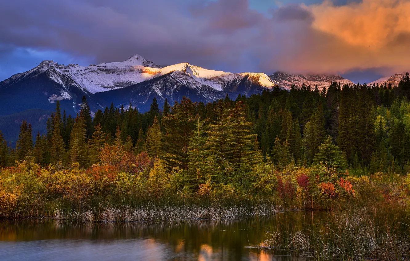 Photo wallpaper autumn, forest, mountains, shore, pond