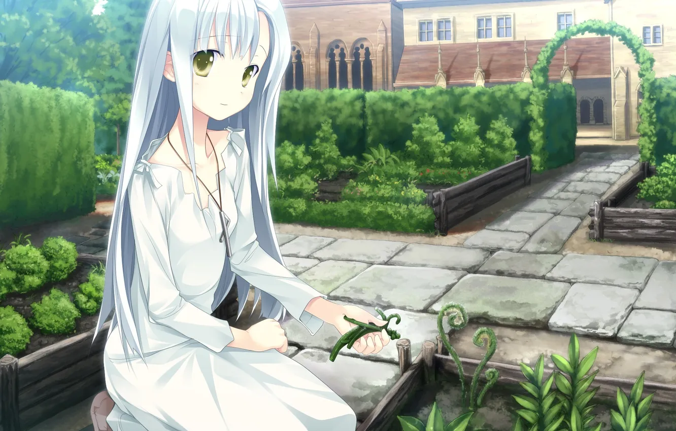 Photo wallpaper plant, anime, girl, ogrod