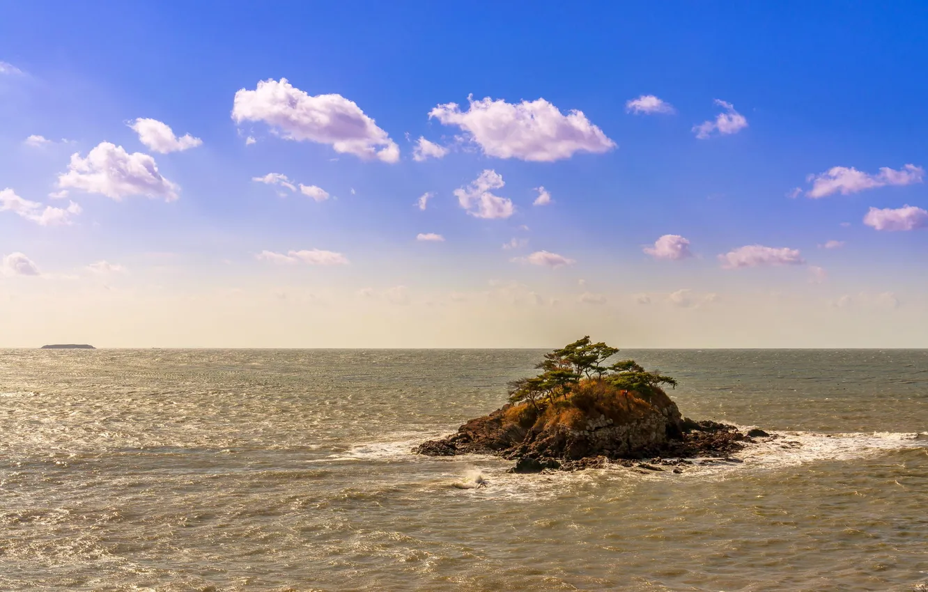 Photo wallpaper sea, trees, nature, rocks, island