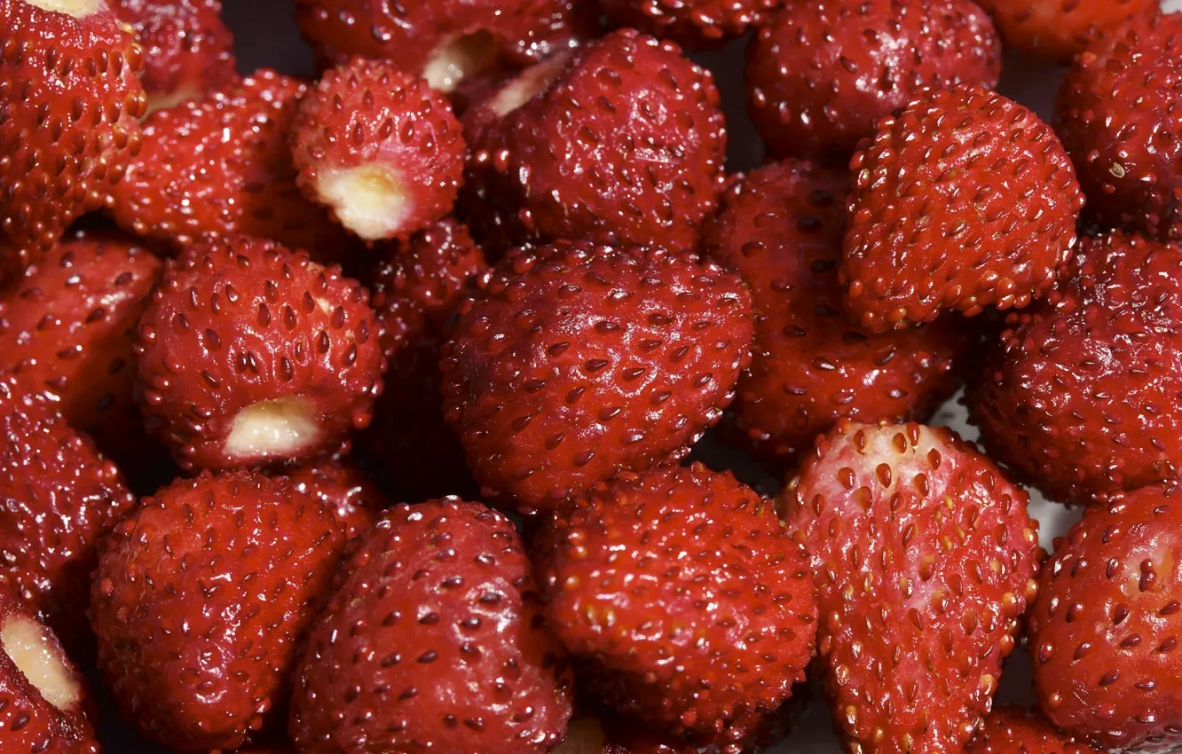 Photo wallpaper red, berries, Strawberry