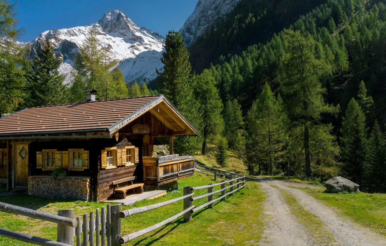 Photo wallpaper road, forest, grass, snow, trees, landscape, mountains, nature