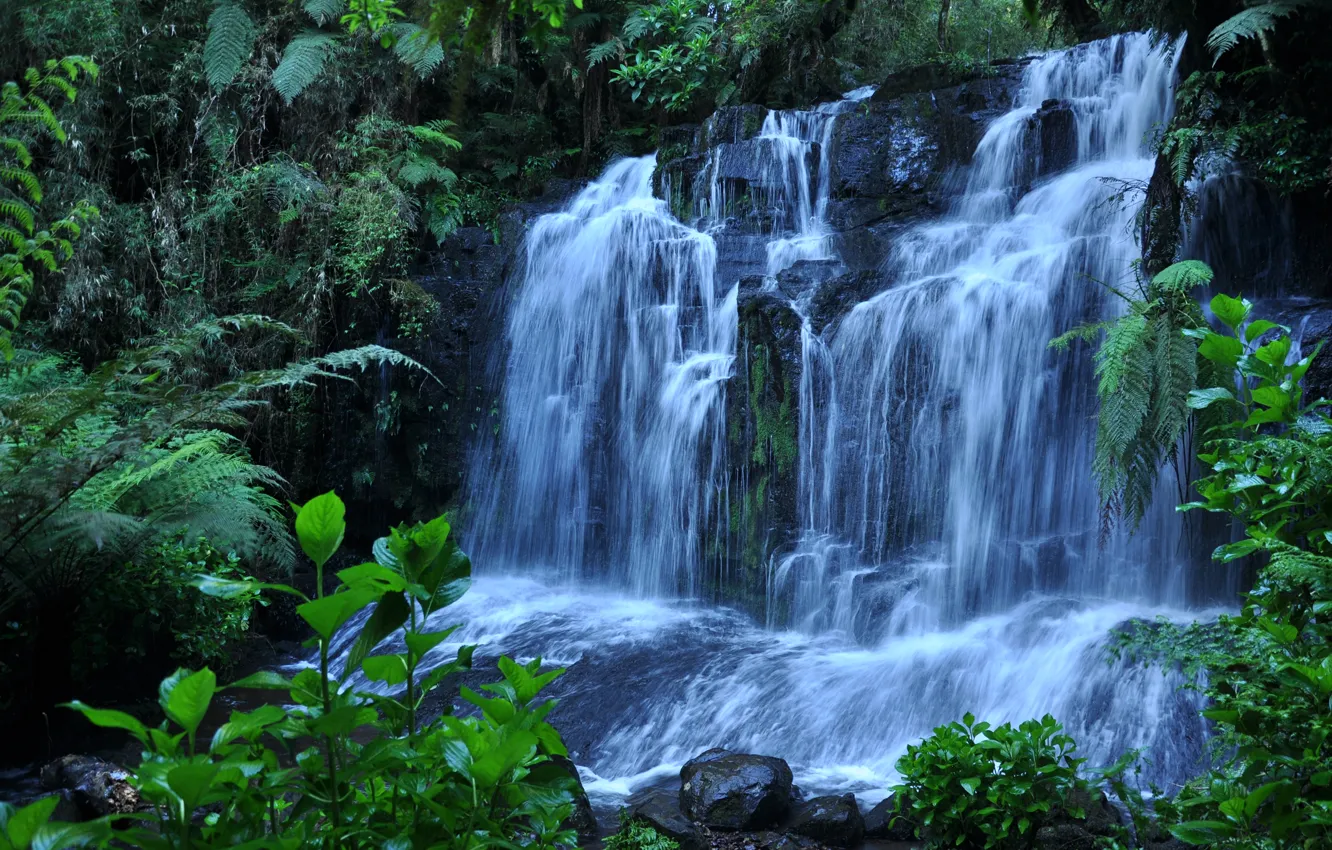 Photo wallpaper water, stones, plant, waterfall