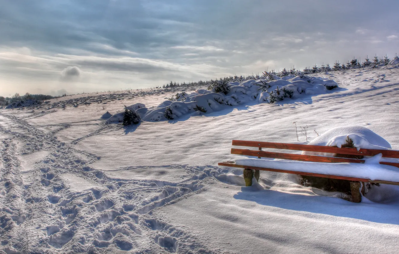 Photo wallpaper winter, snow, bench