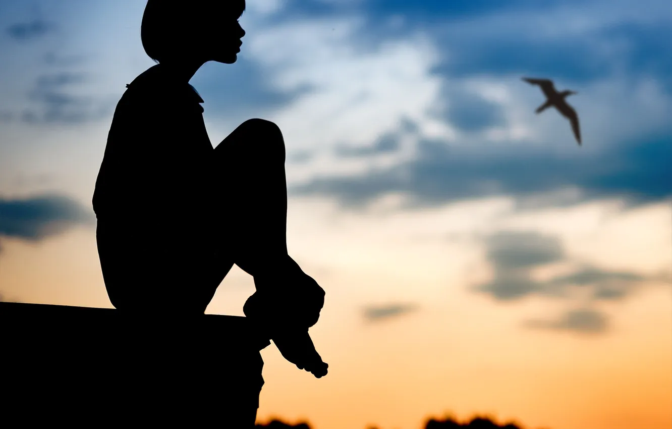 Photo wallpaper shadow, silhouette, Karina, Alexander Vinogradov