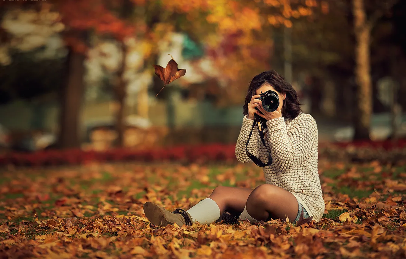 Photo wallpaper autumn, leaves, girl, trees, Park, yellow, brunette, the camera